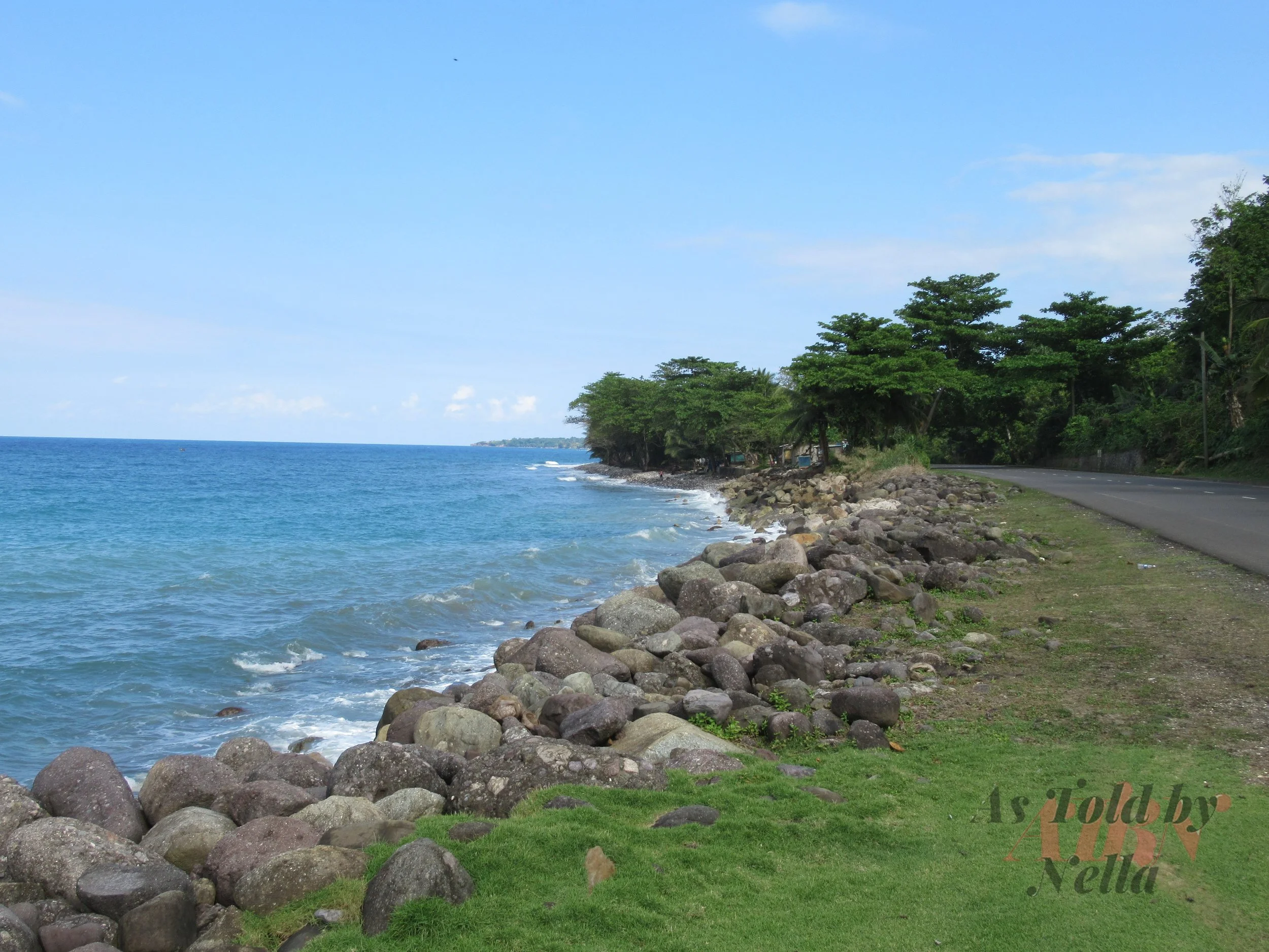 Go Natural Jamaica.jpg