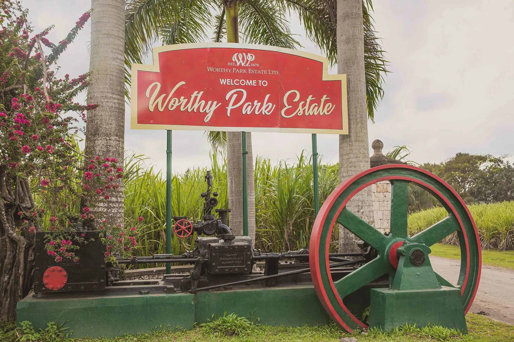 Worthy Park Estate Rum Tour Jamaica