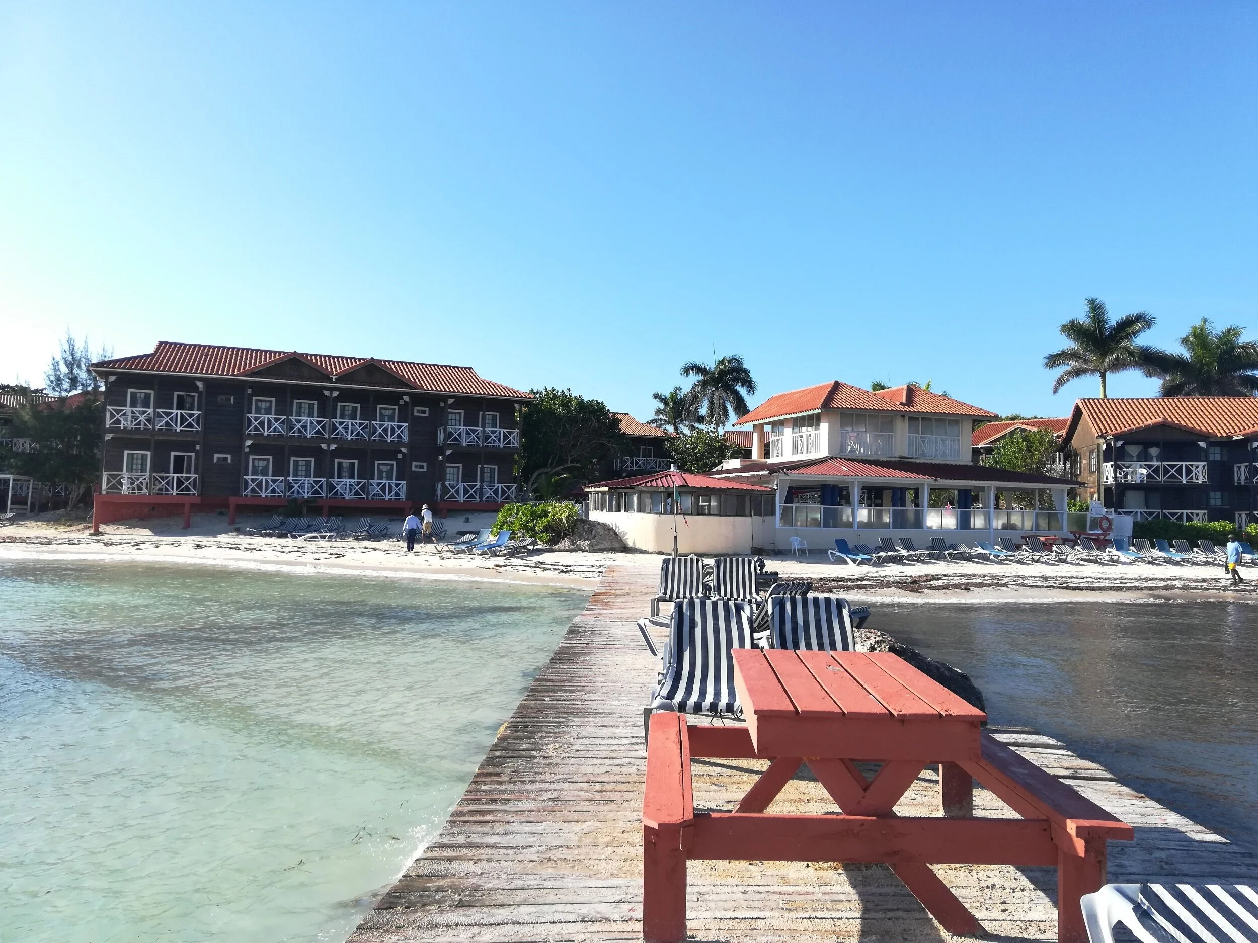 Mangos Jamaica, Trelawny
