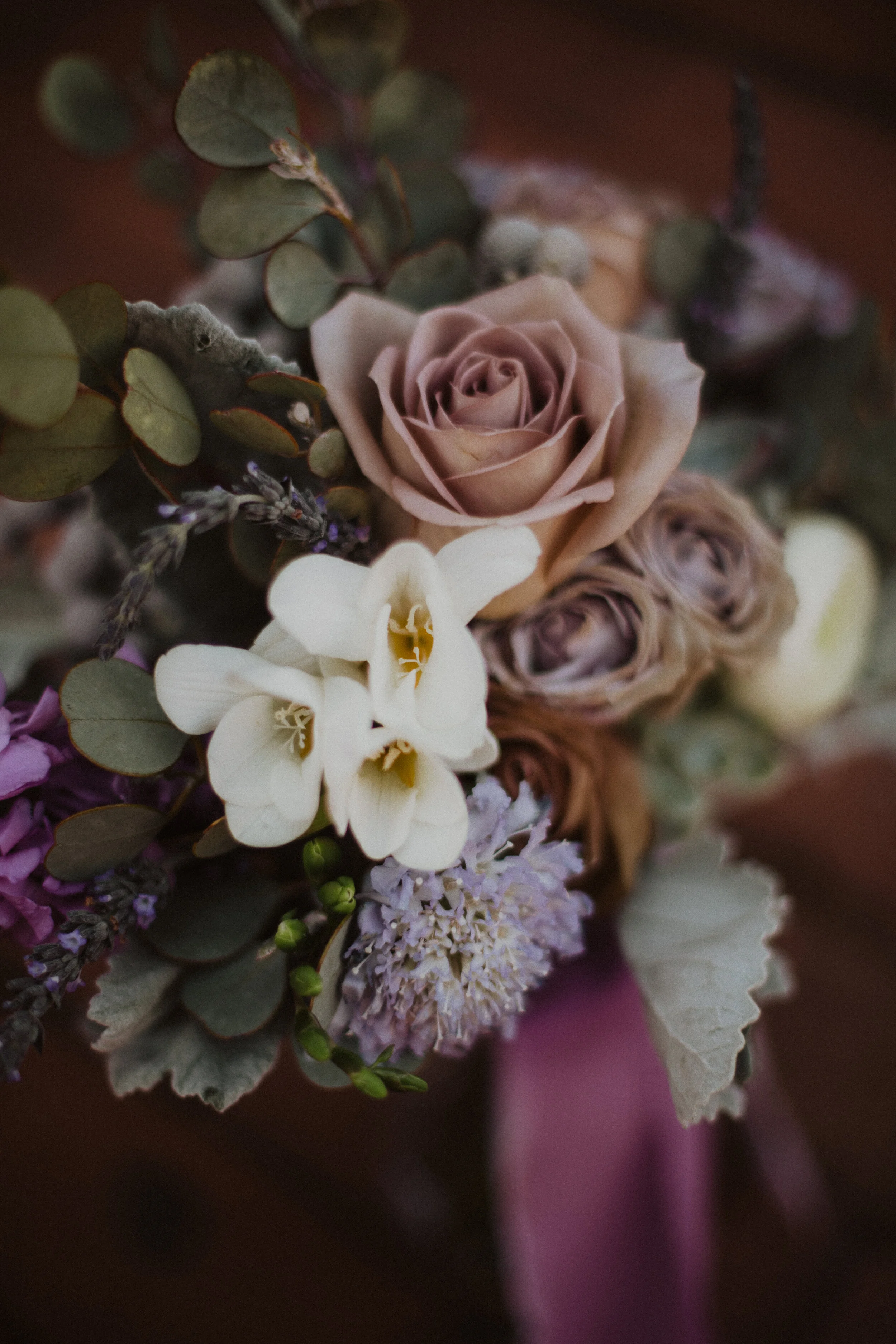 3E5A8909-Edit.jpg