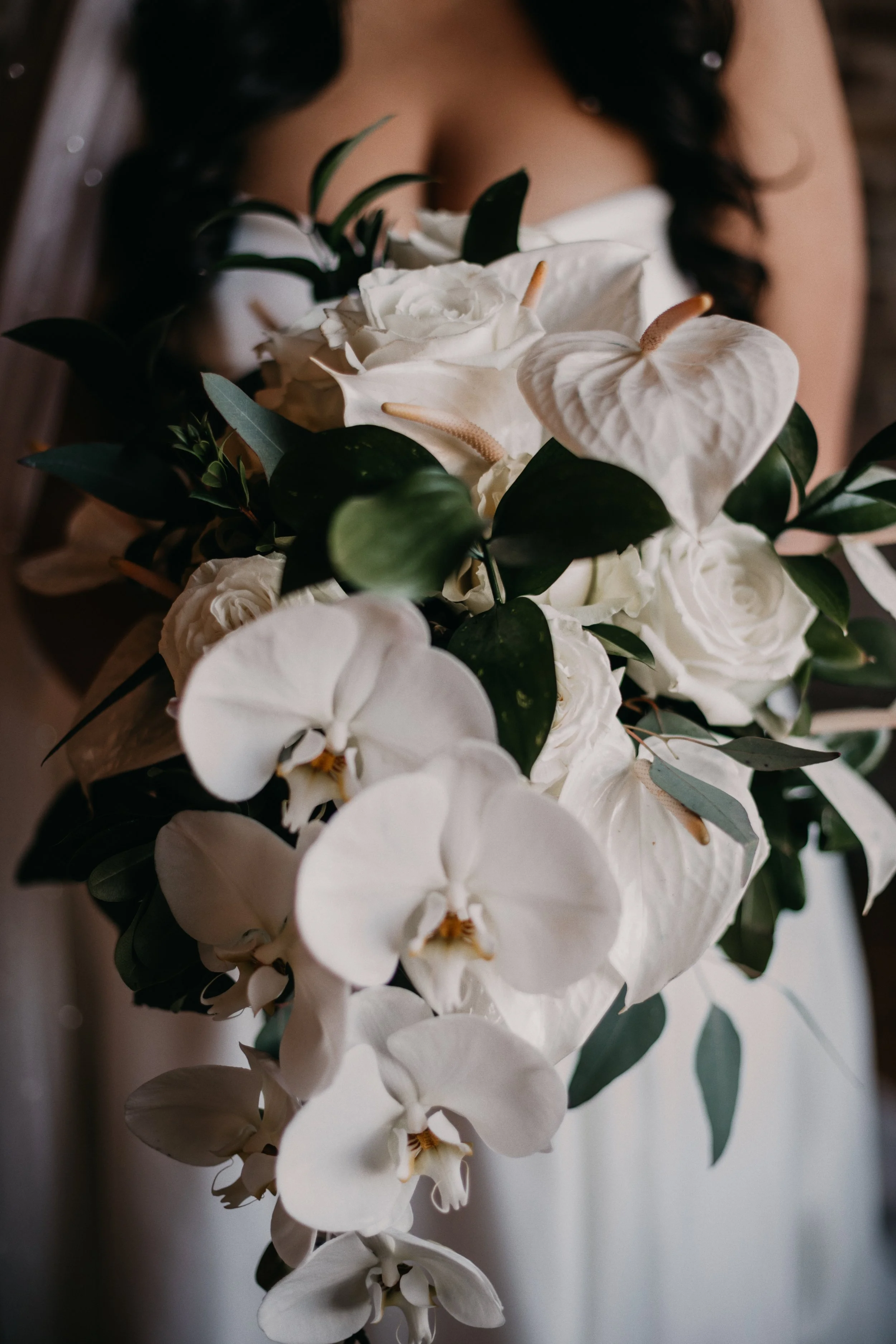 3E5A9127-Edit.jpg