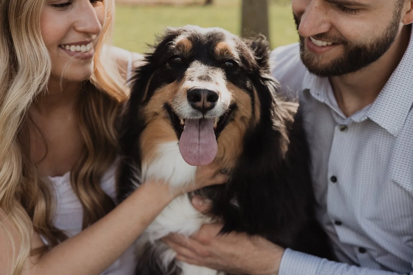 The sweetest pup was the real center of attention at this gorg engagement session ✨
.
📷 @emroseweddings