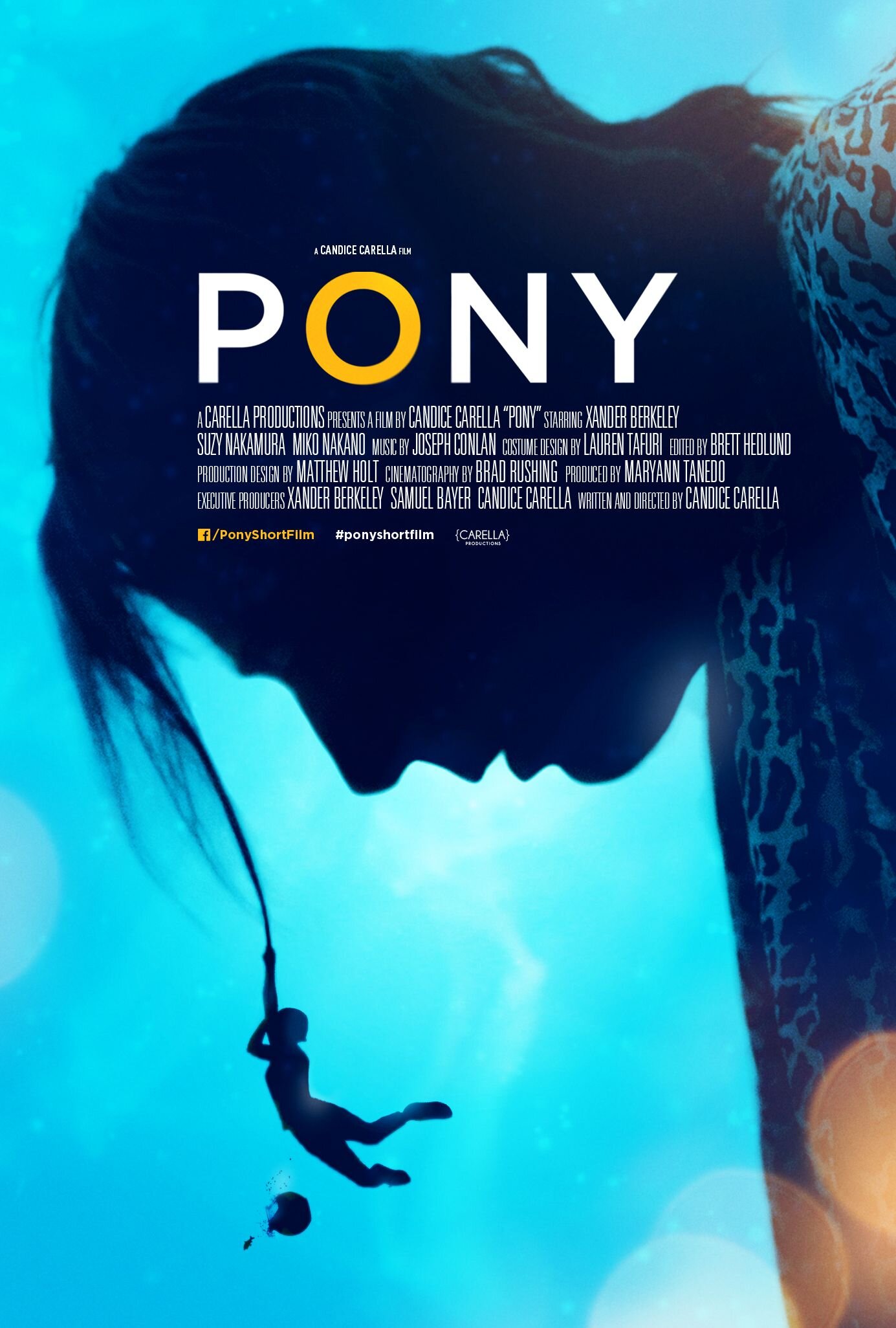 Pony 2014.jpg