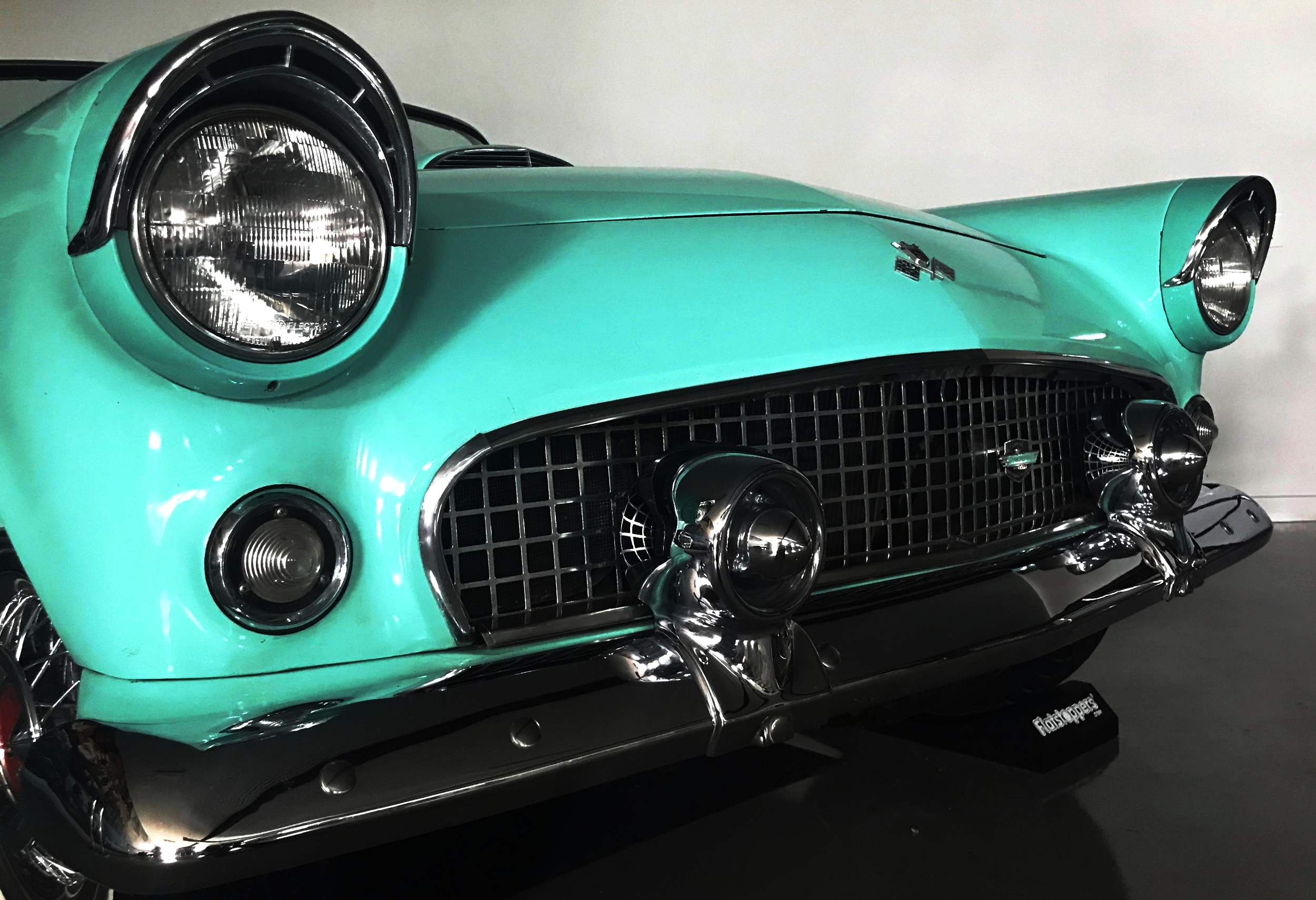 tbird for homepage.jpg