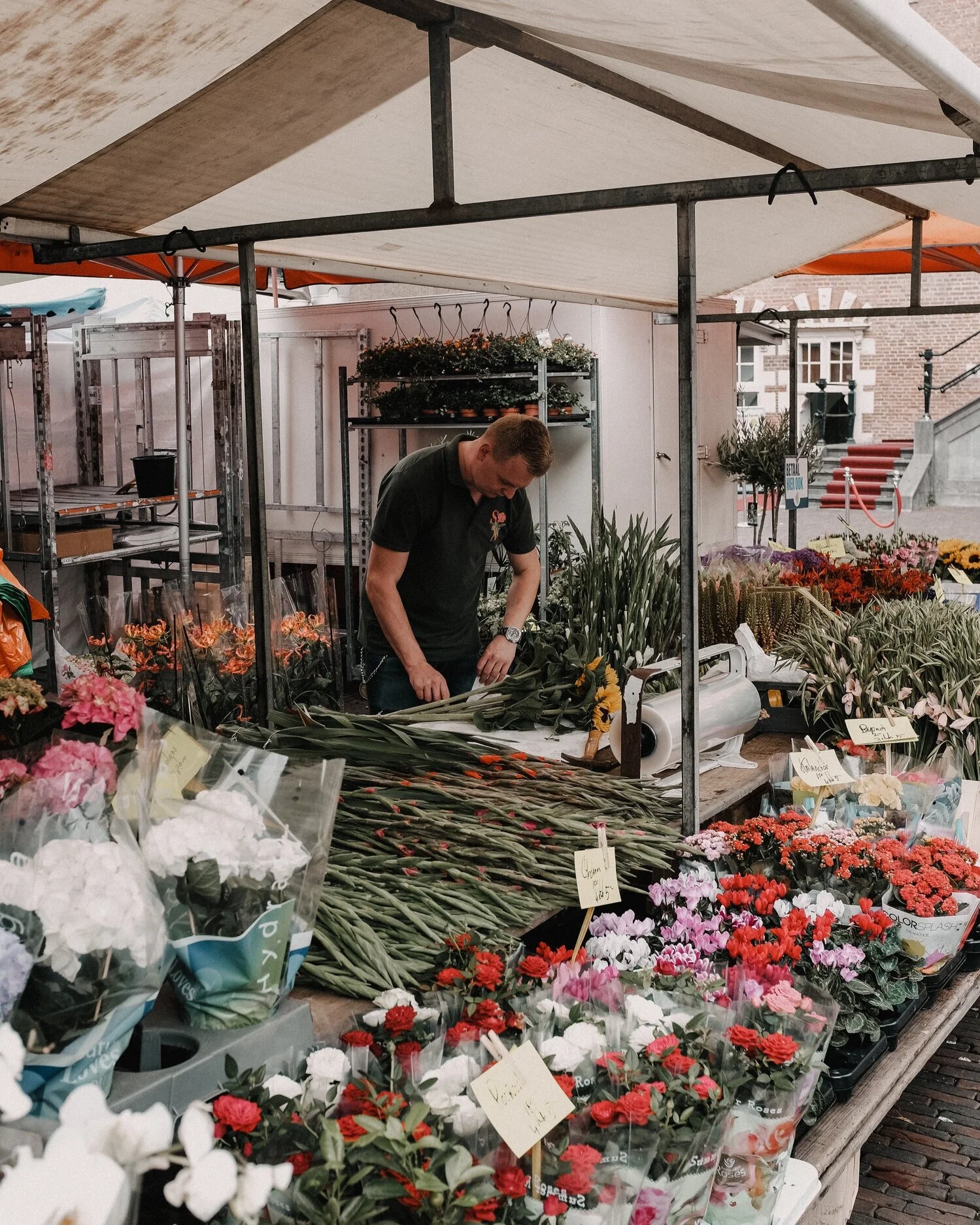 Travel Journal | Amsterdam