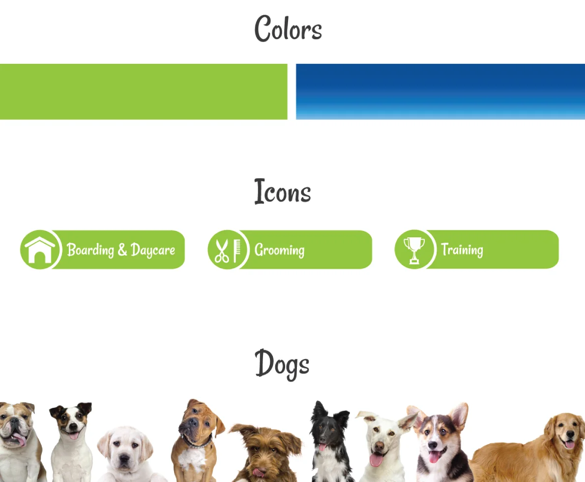 dogparty4.jpg
