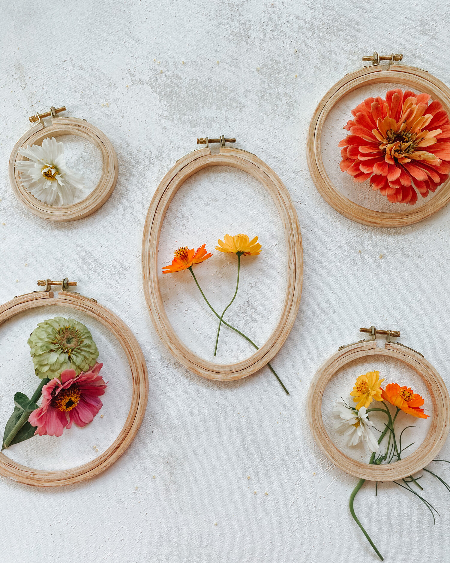 Wooden Embroidery Hoops set of 6 — 10” 8.5” 7.25” 6.25” 4.75” and 3.7”