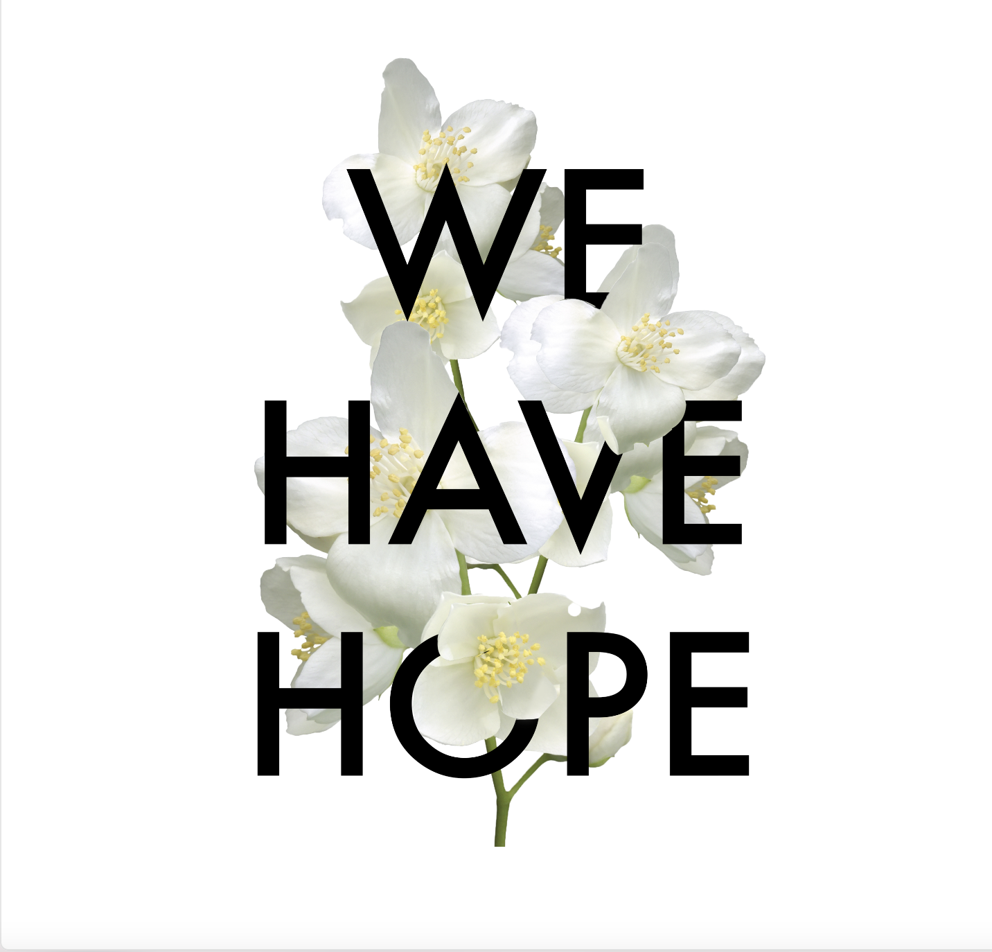 Screen Shot 2021-11-23 at 11.02.06 AM.png