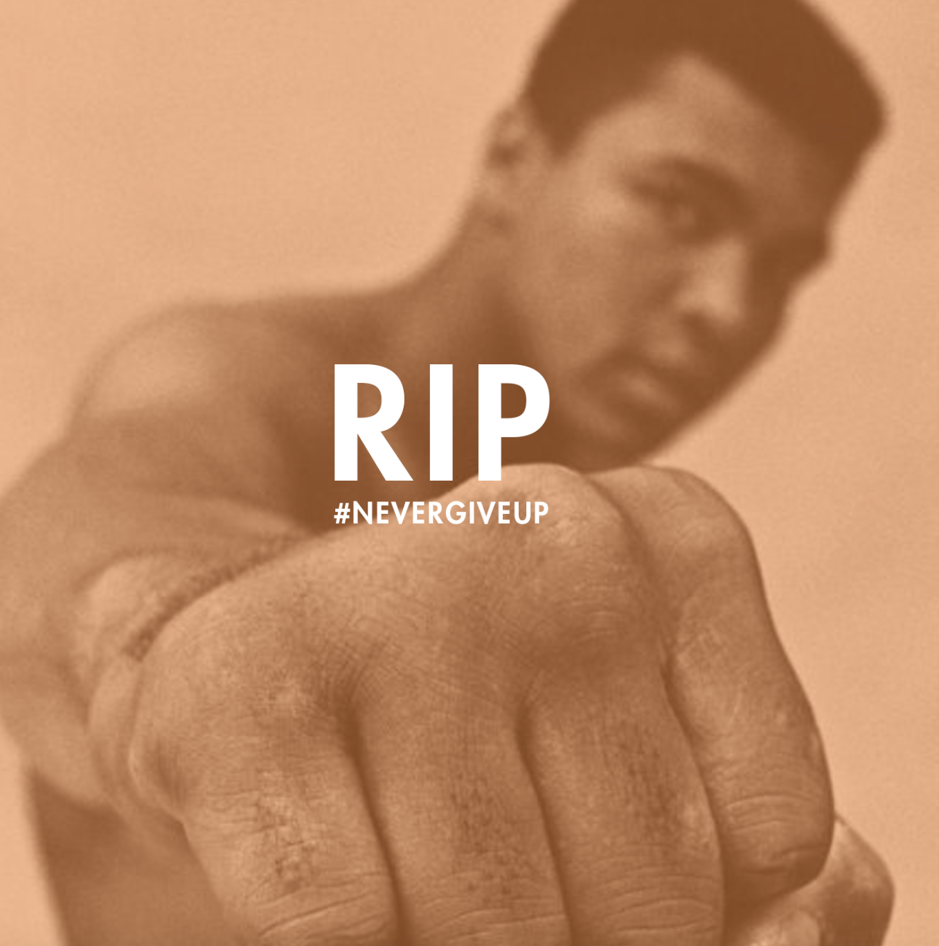 Screen Shot 2021-11-23 at 11.25.49 AM.png