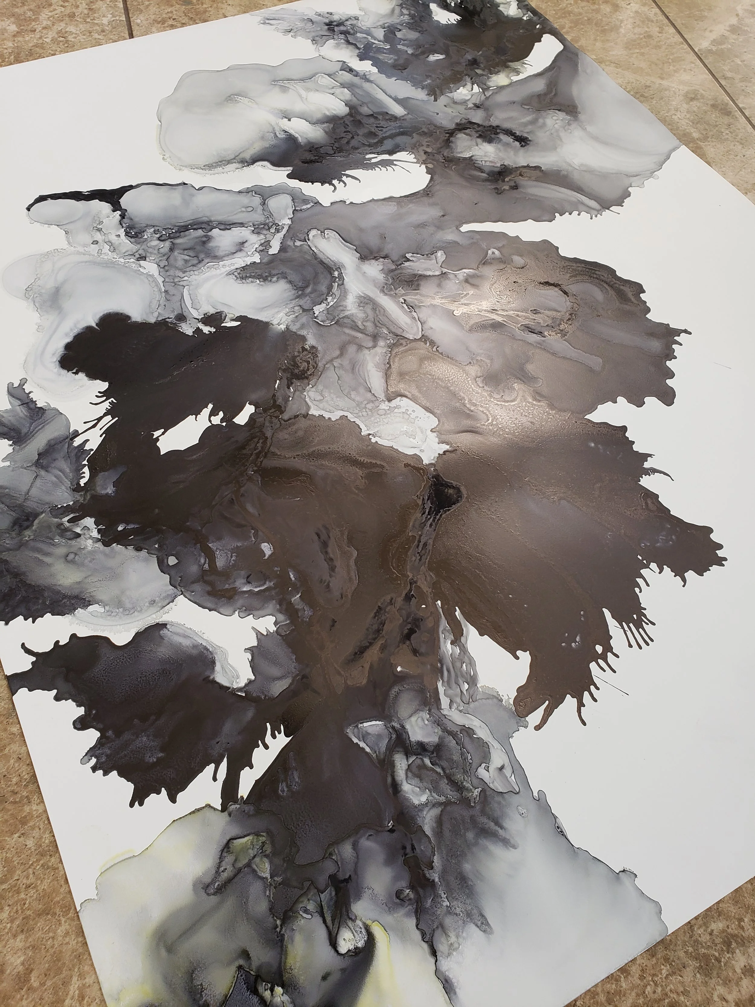 20190324_101554.jpg