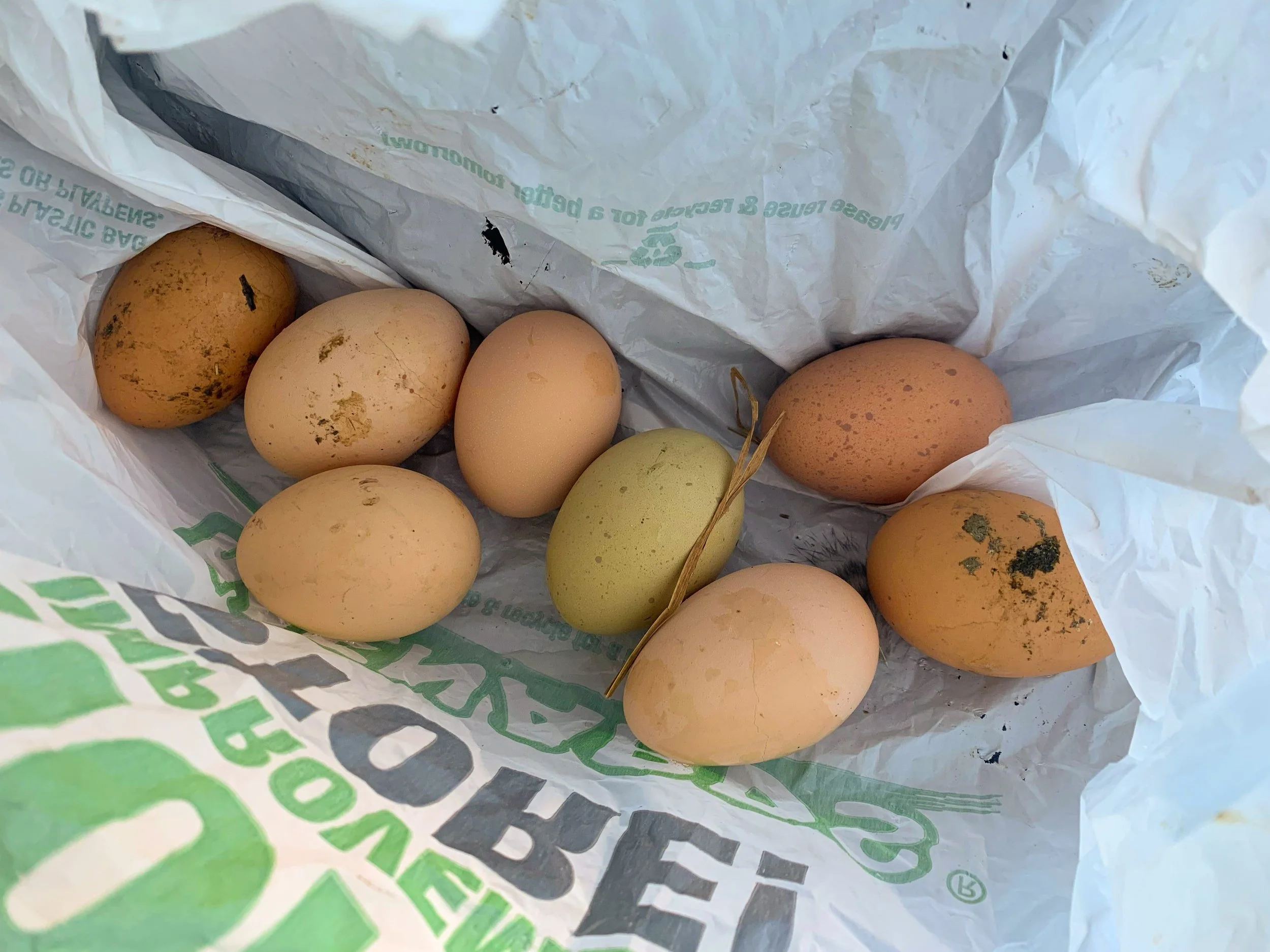 hiding in plain sight