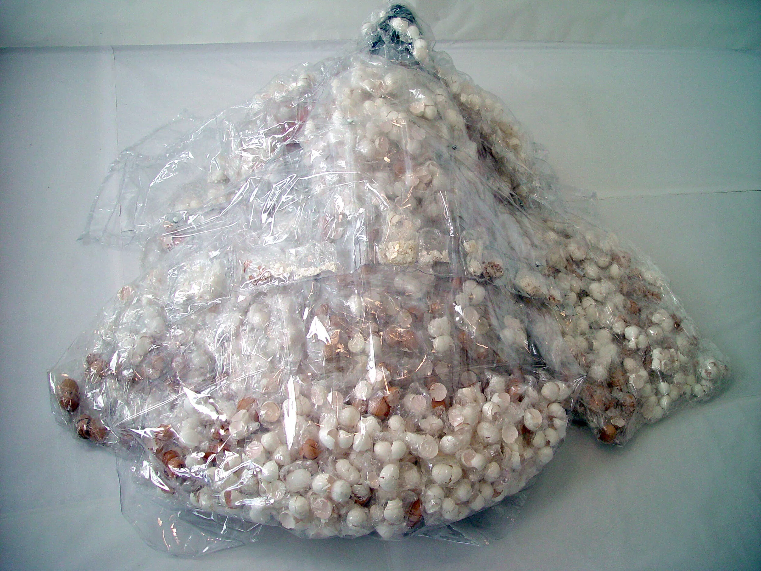   Dress for Today no.6 Part II , Shrink-wrapped eggshells, Performance for video, 2008 