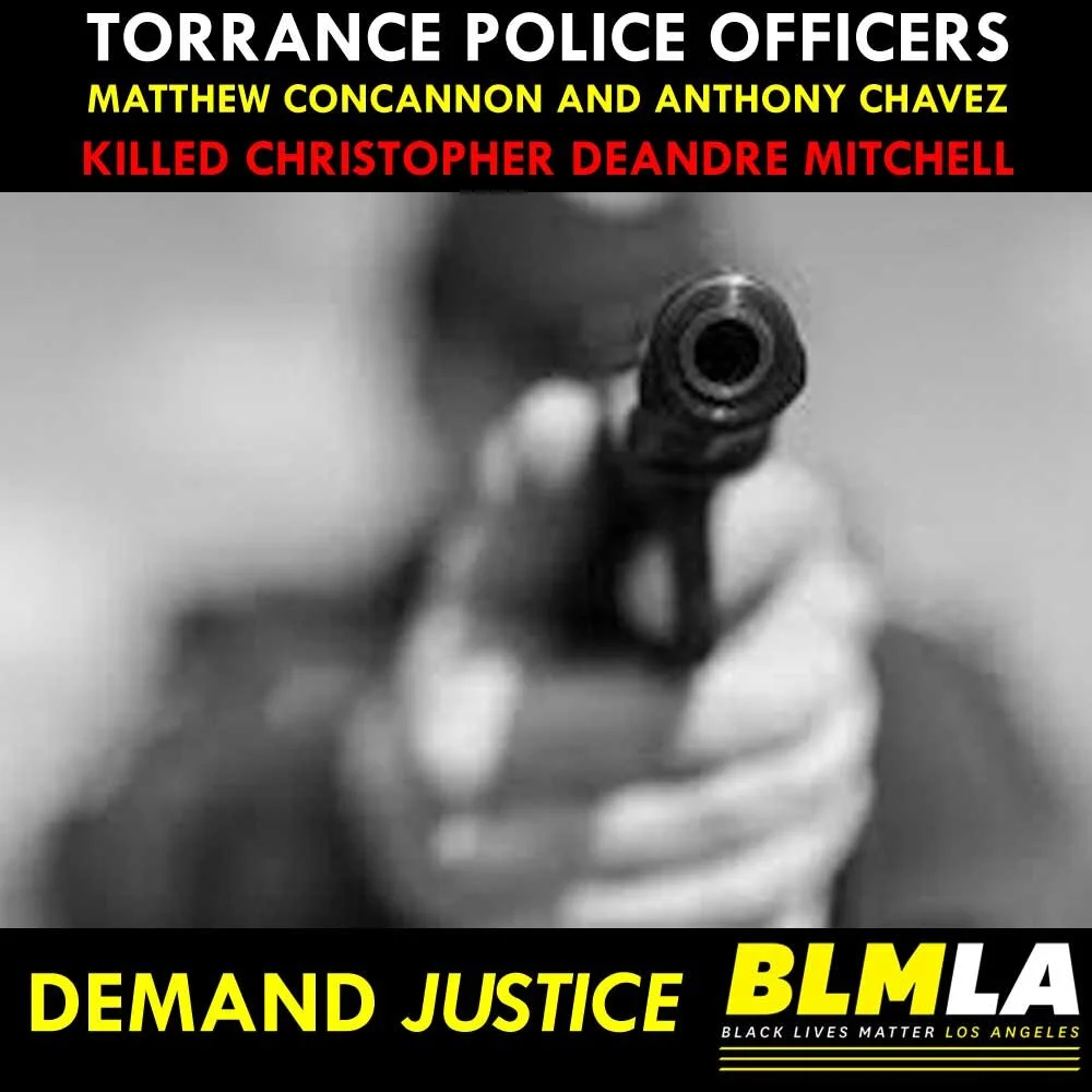 Torrance City Council Meeting Disrupted by Armed Goons Confronting Mothers &amp; Families