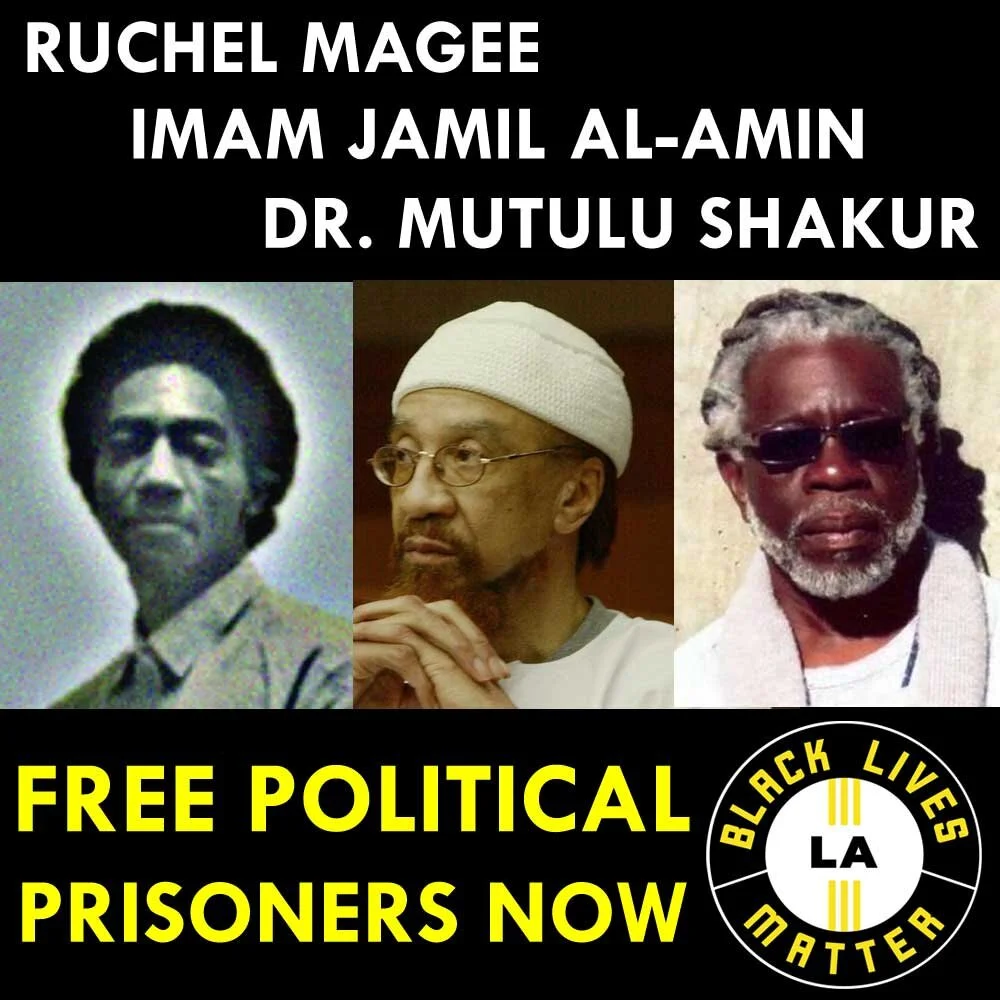 Sign Petitions to Free Political Prisoners