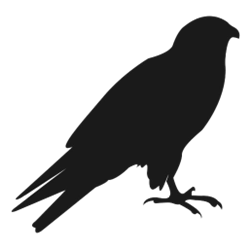 crow silhouette