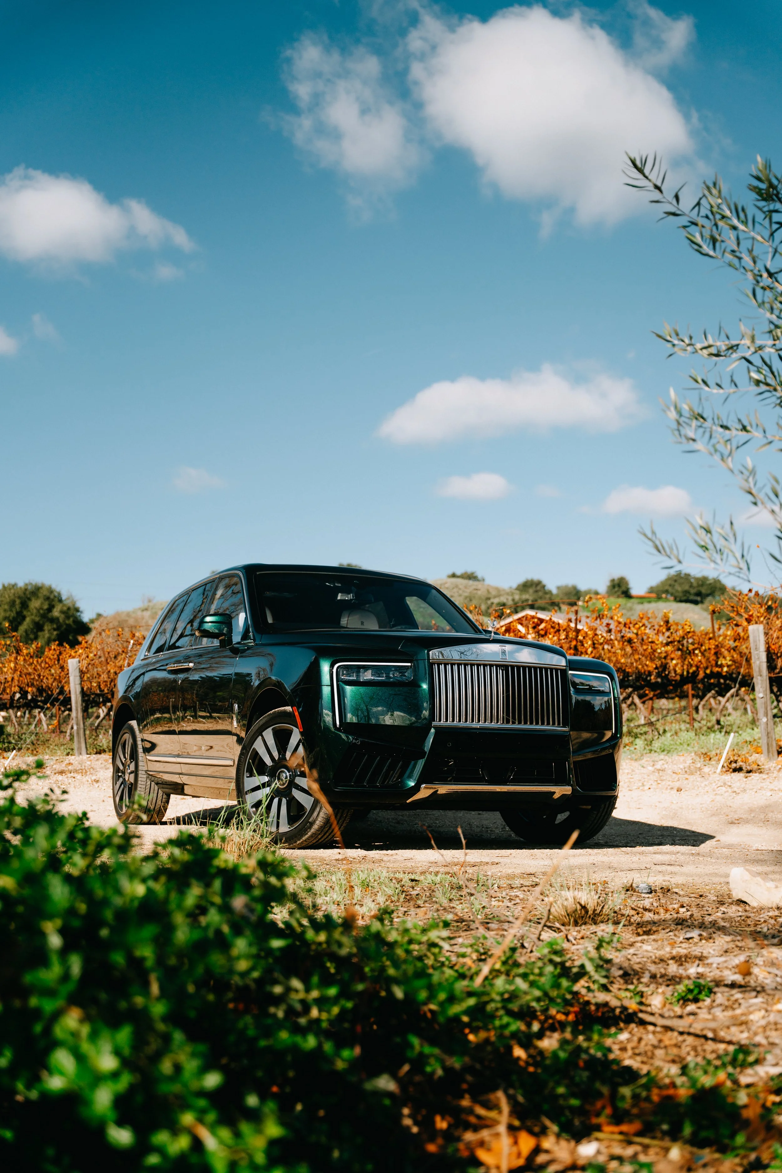 A black luxury SUV parked on a dirt road with grapevines and orange flowers in a rural landscape under a partly cloudy sky.