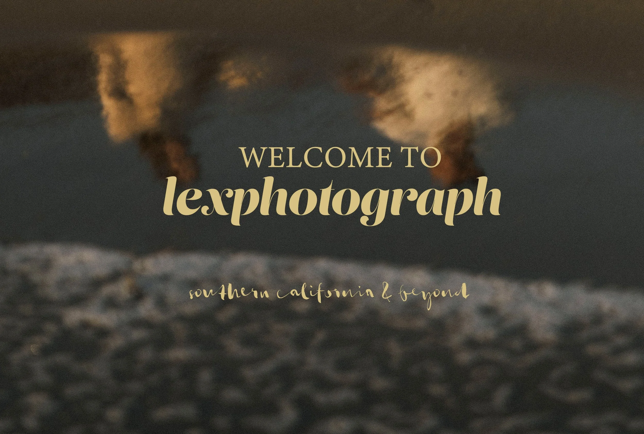 lexphotograph 2025 copy.jpg