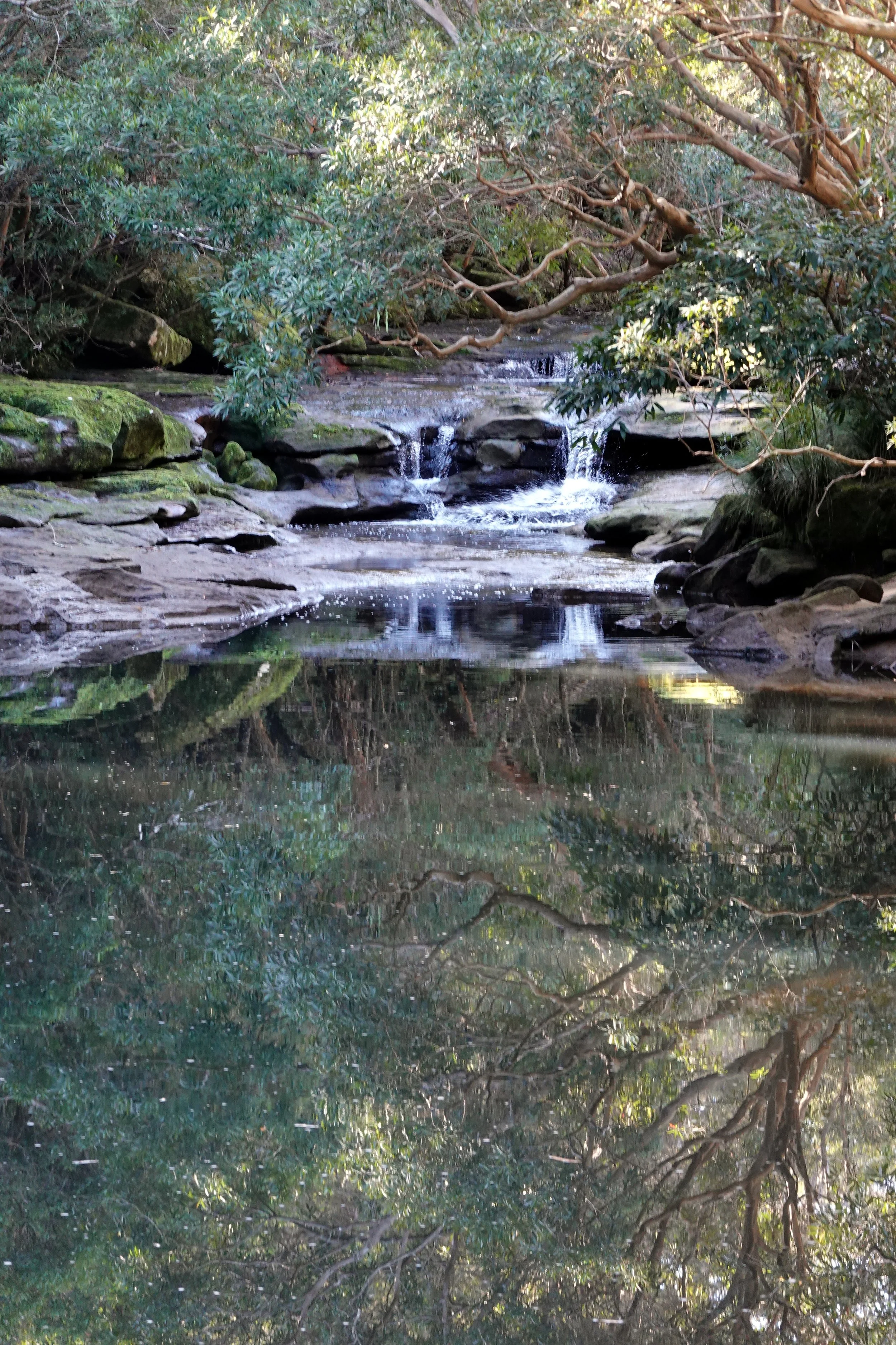 DSC03161.JPG