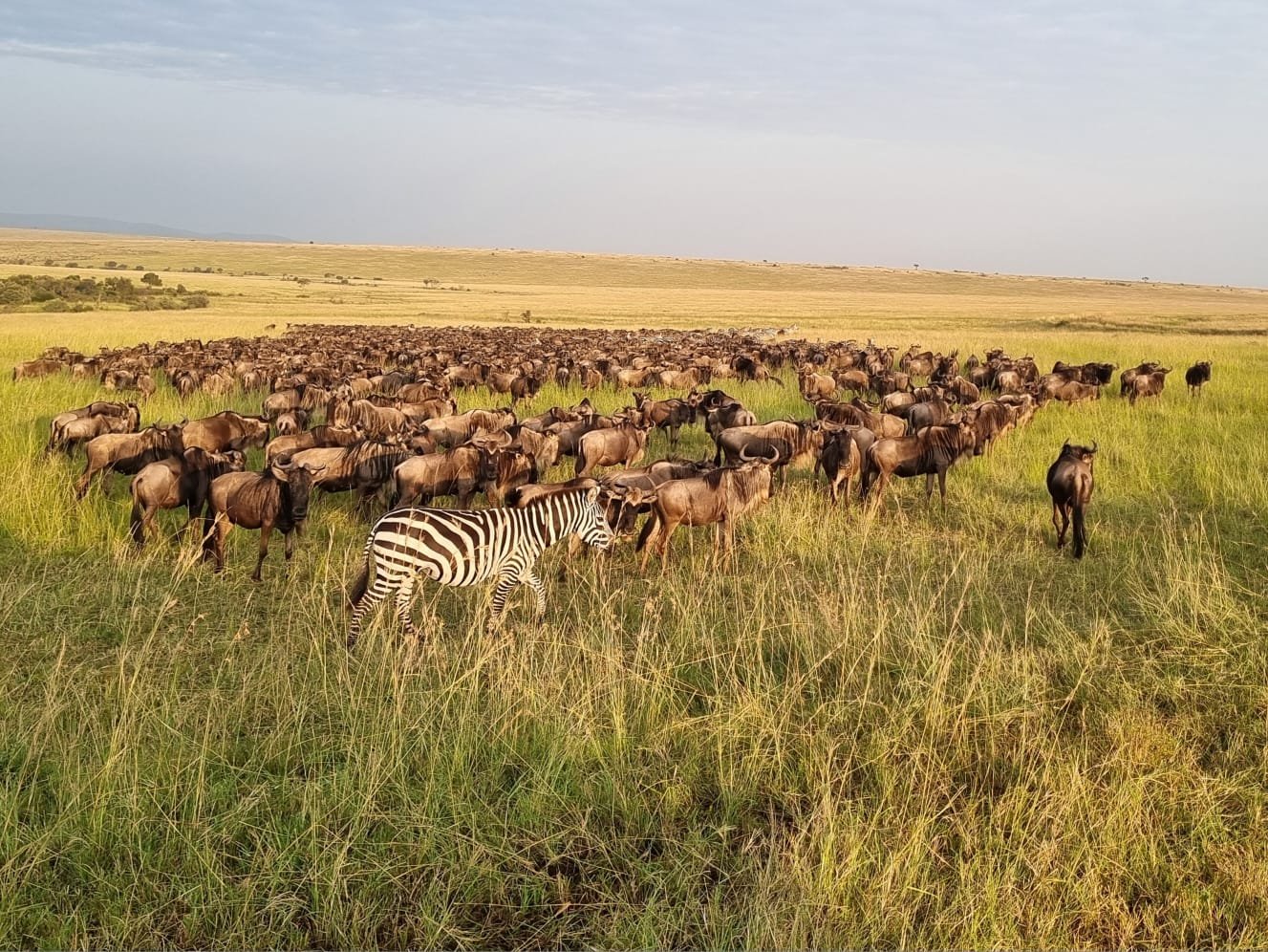 WhatsApp Image 2025-08-07 at 11.04.05 AM.jpeg