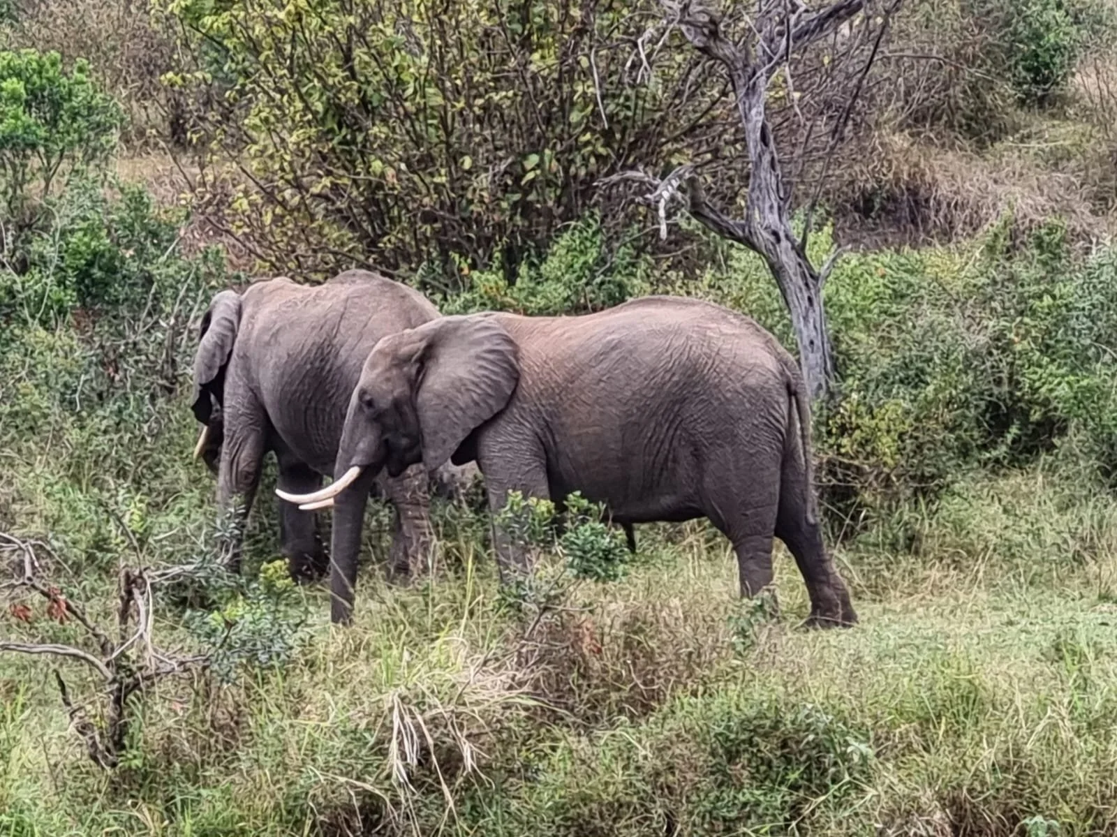 WhatsApp Image 2025-08-07 at 11.04.04 AM.jpeg