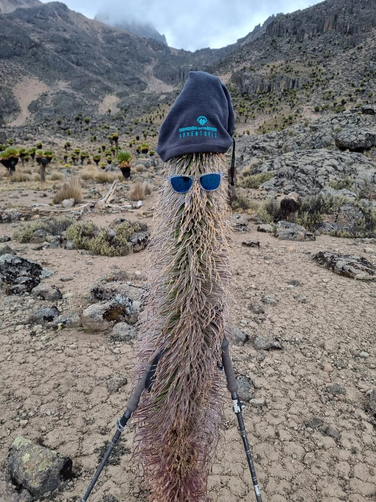 WhatsApp Image 2025-08-07 at 11.04.06 AM (2).jpeg