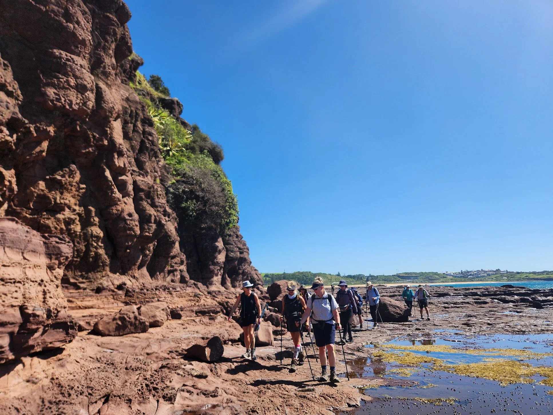 Group on coastal rocky section kiama.jpg