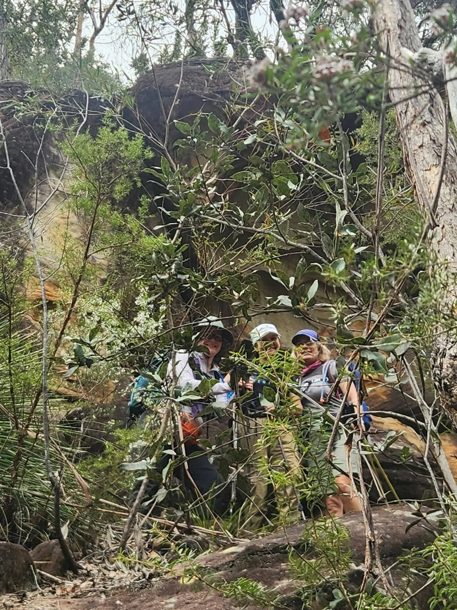 hikers through leaves winmalee.jpg
