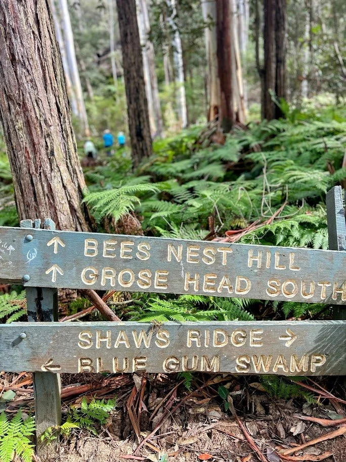 Signs winmalee.jpg