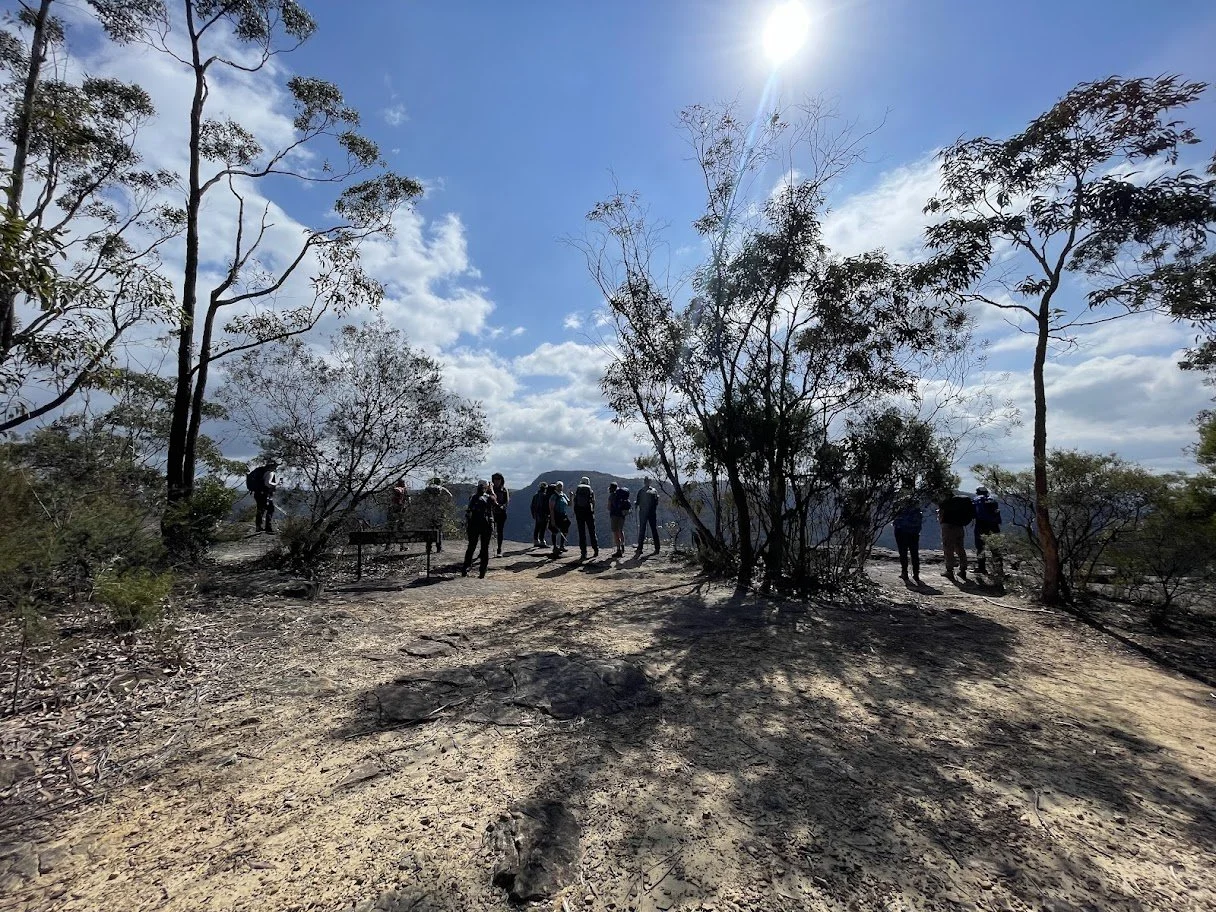 viewpoint winmalee group looking out.jpg