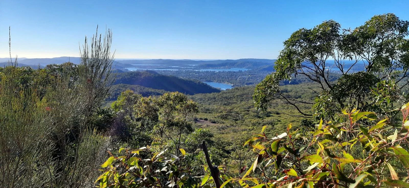 Patonga Girakook panorama view.jpeg