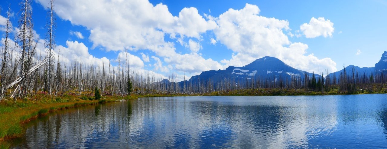 Summit lake_Canada_Rockies.jpg