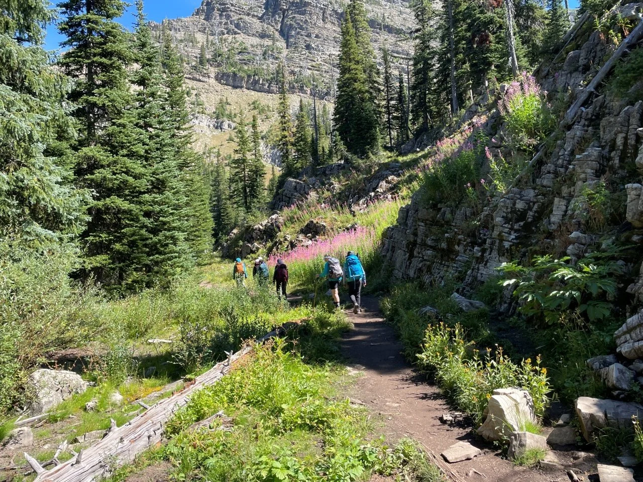 Scenery_Canada_Rockies.jpg