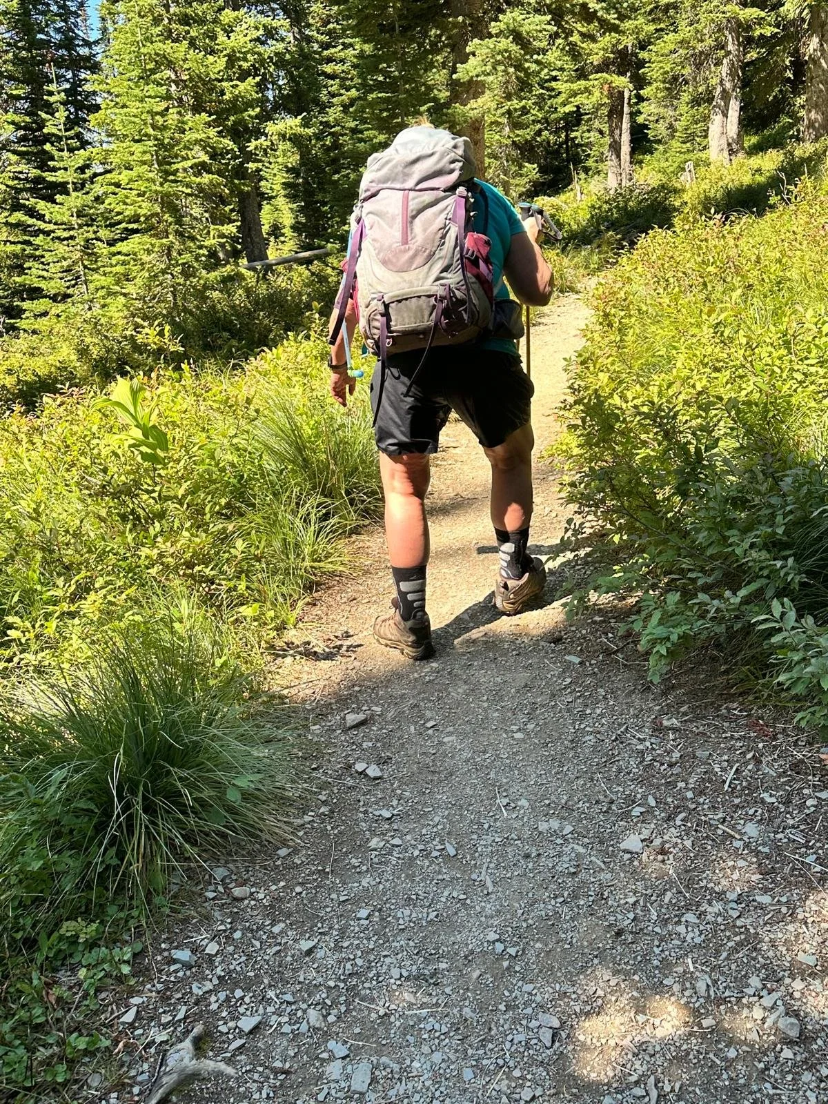 Michele_wet_Canada_Rockies.jpeg