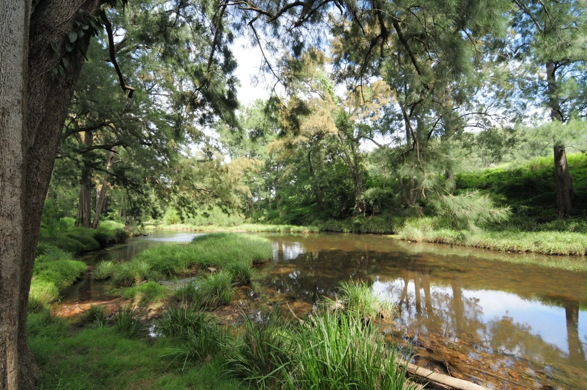 KANGAROO VALLEY CAMP AND HIKE WEEKEND, July 17-19, 2027 (Full Price $625)