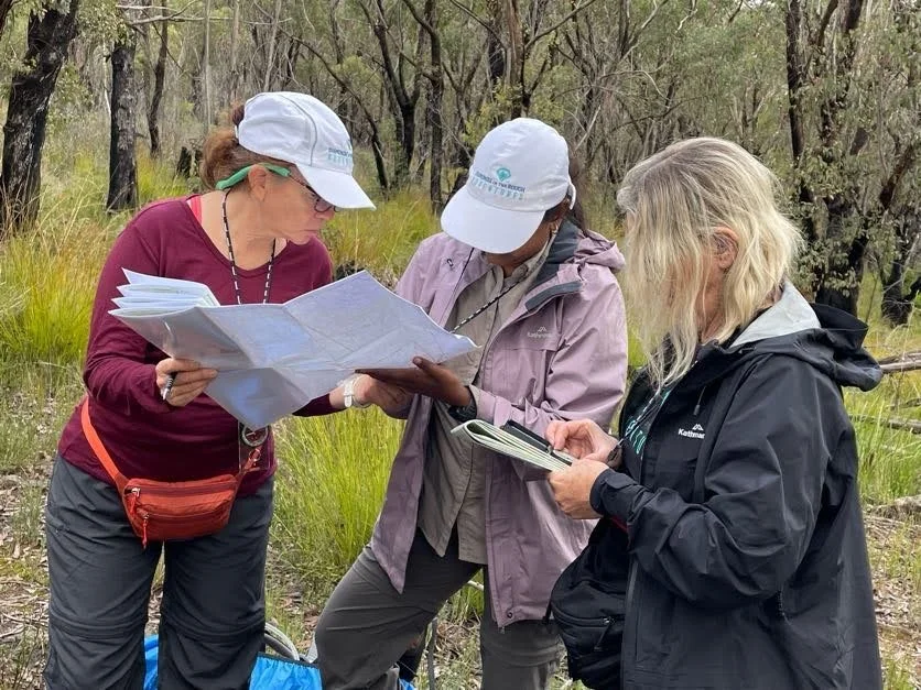 Day and Overnight Hikes — Women's Hiking Group Diamonds in the Rough Adventures