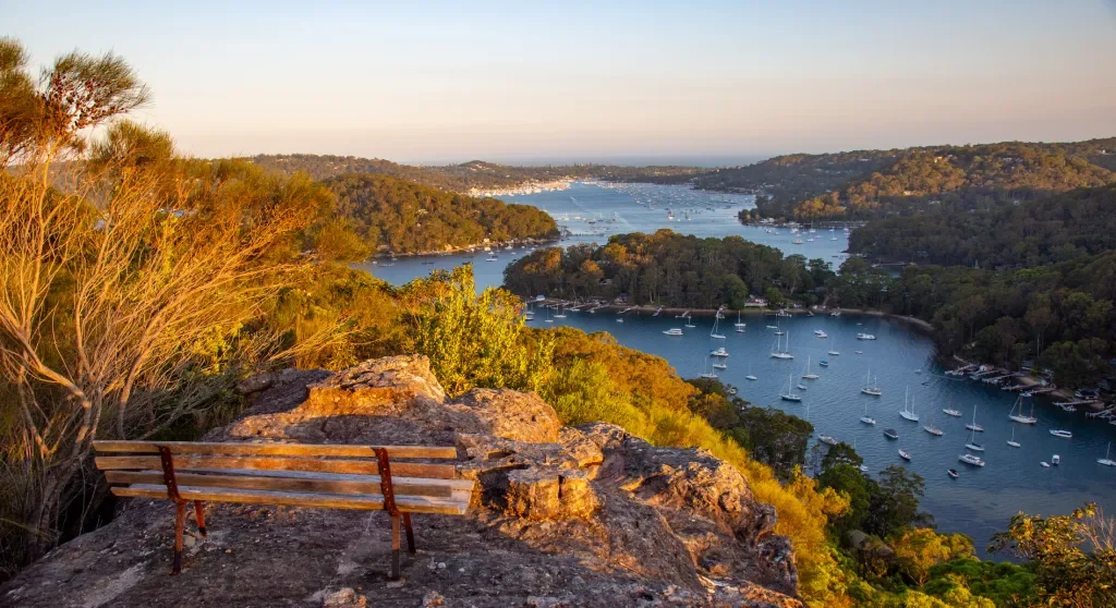 WEST HEAD WILDS- SUNDAY FEBRUARY 1, 2026