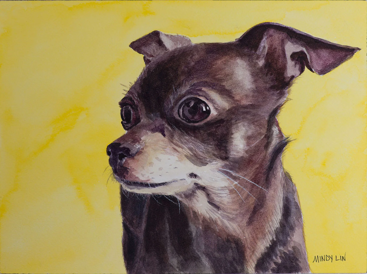 Chihuahua-by-Mindy.jpg