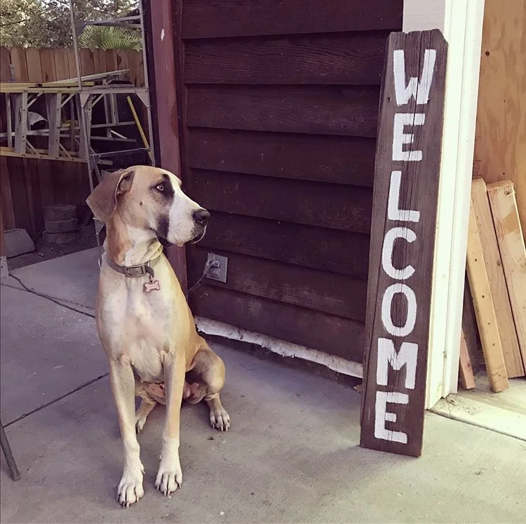 WelcomeSign.jpg