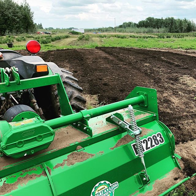 Well we have finished weedeating the rows and are now working on incorporating cow manure into our top soil area. Once the manure is tilled into the soil, we will start spreading it on top of our mounds to rebuild the erosion and add nutrients to our