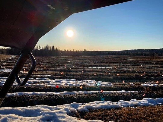 Boreal Peonies 2020 season is officially off and rolling! The first wave of the crew arrived a few days ago and have been hard at work opening the farm up from the deep freeze. The crew consists of Jill, Paul and Jake and they started yesterday on we