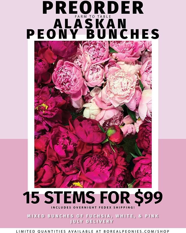 Hello everyone!⁣
We are excited to announce that for the first time ever, we are offering a limited quantity of flowers directly to our friends and fans! We know these are crazy times, and we hope beautiful Alaskan peonies directly from our farm to y