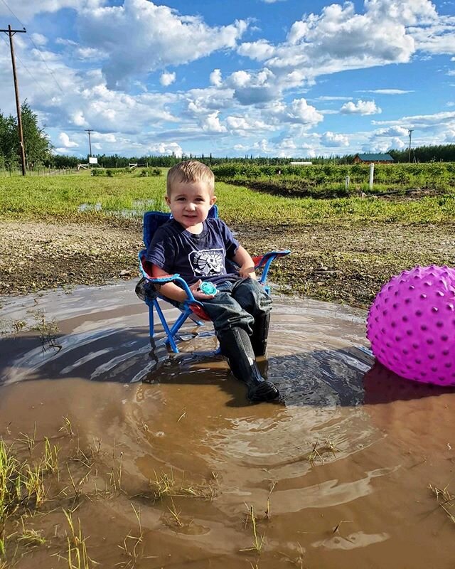 We had a new foreman out to the farm who preferred to oversee from the mud puddles. His latest order is to get online and get your pre-order in for some of these flowers! Link in profile!