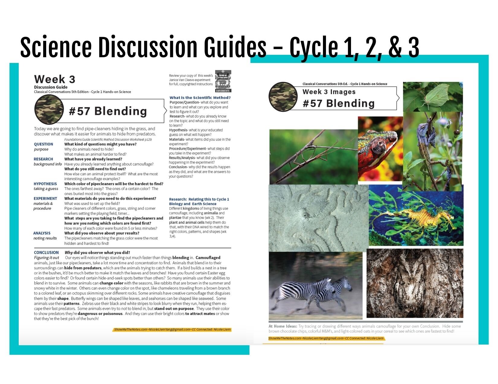 C1-2-3 Discussion Guides.jpg