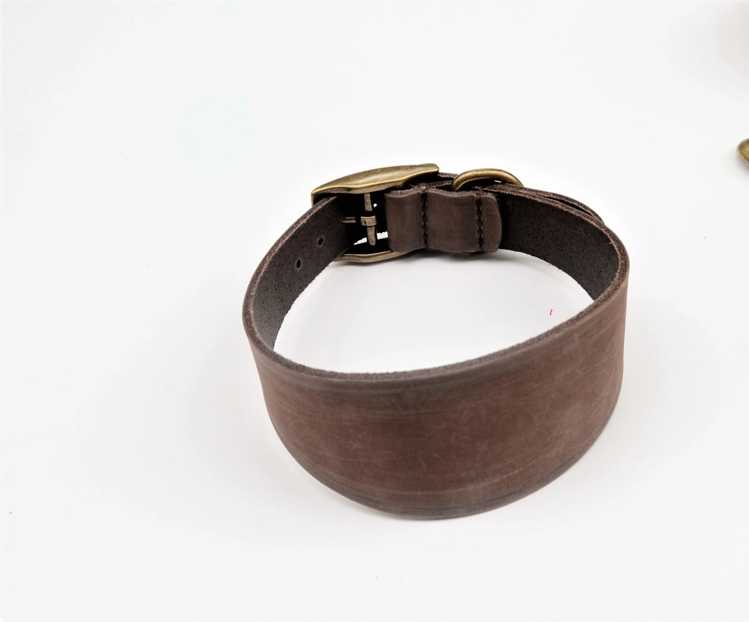 leather collar and lead