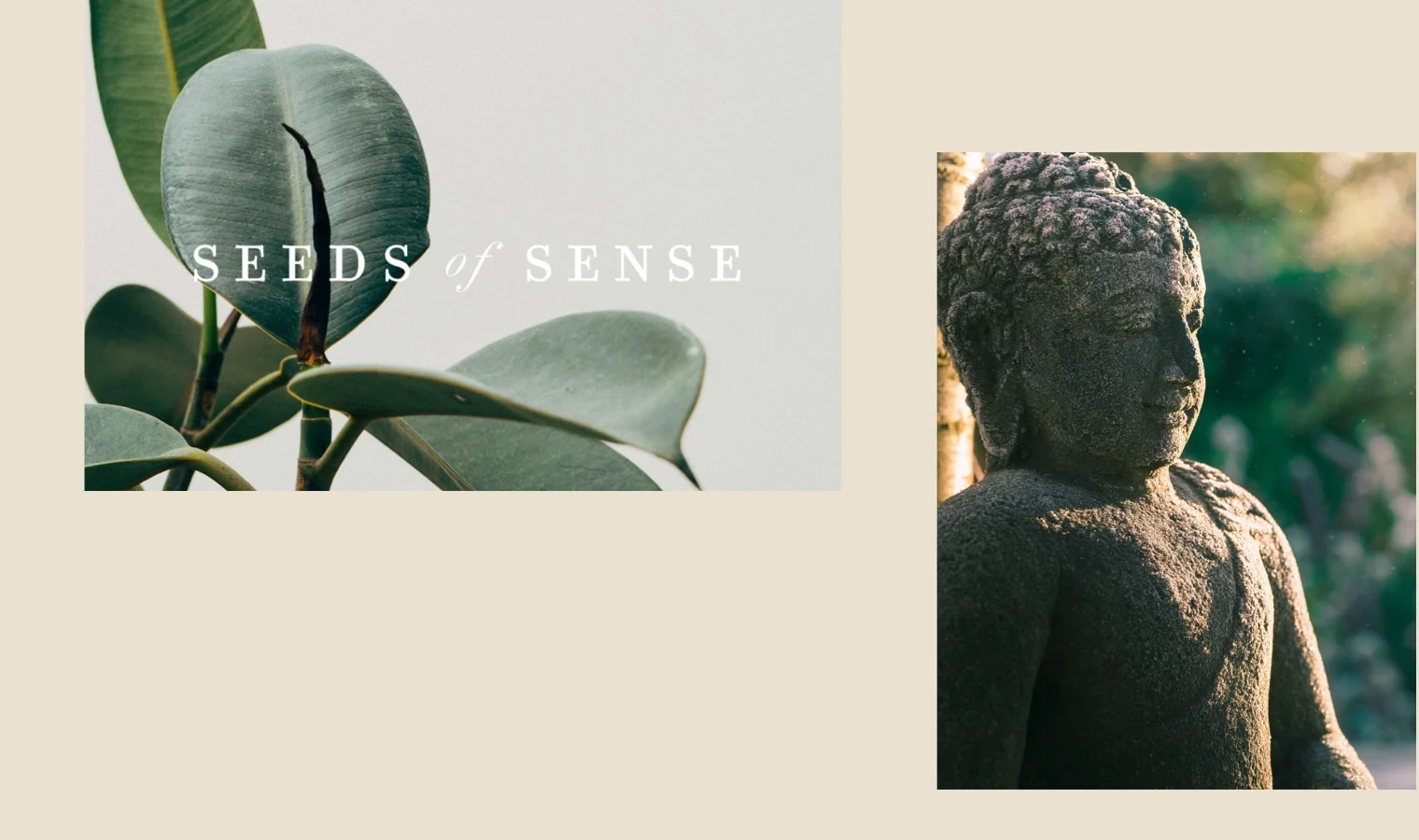 Seeds-of-Sense-Sustainable-Yoga-Wear-Branding-06.jpg