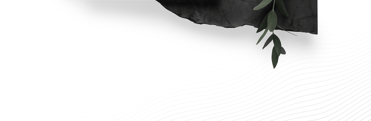 Flash Fashion -  06.gif