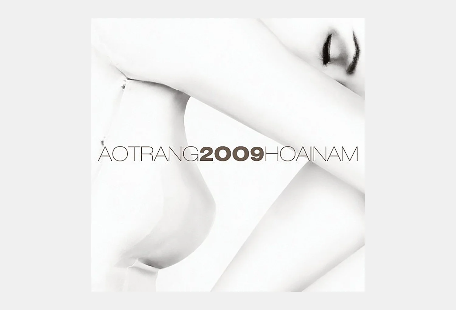 AT2009cover.jpg