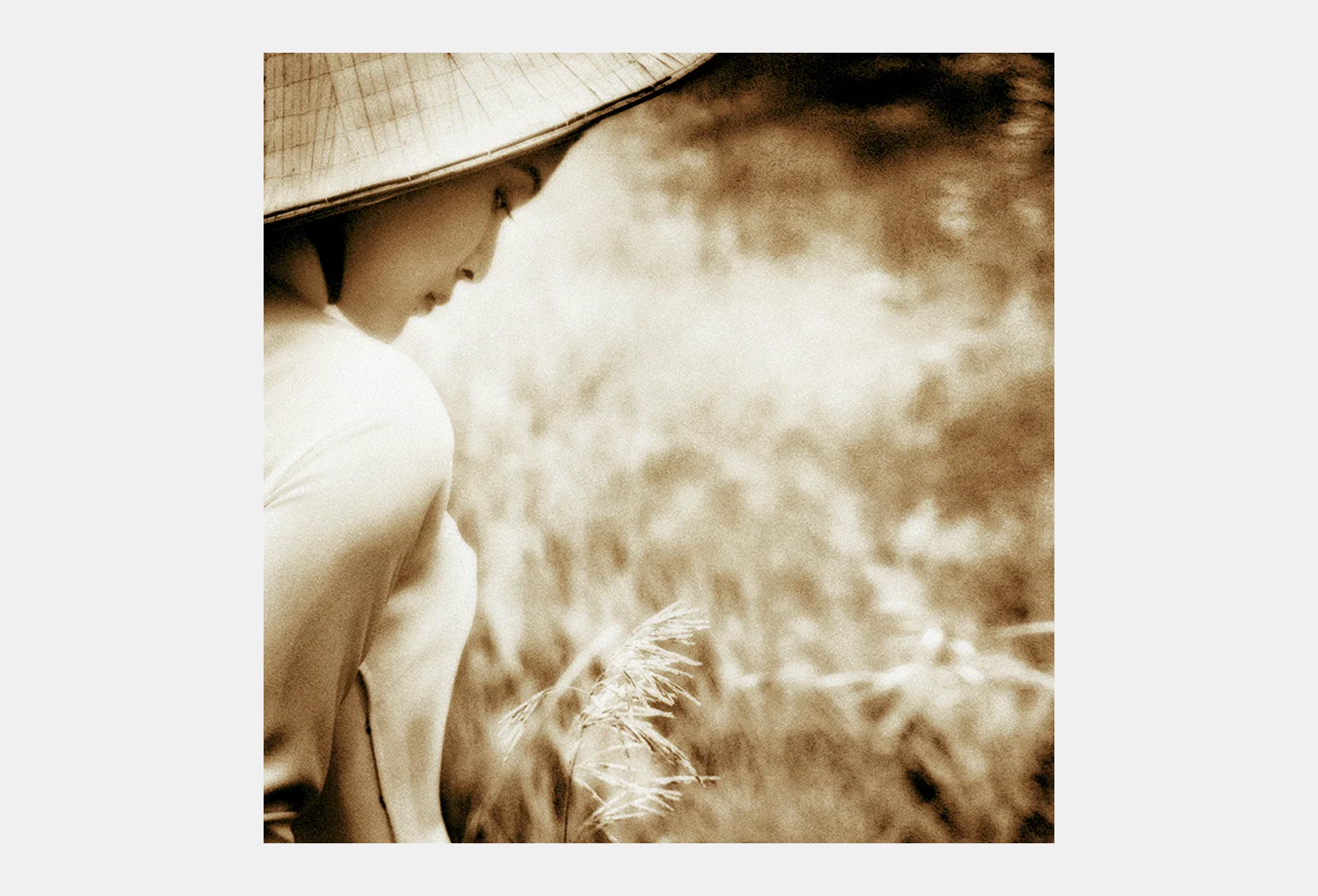 2005-F trang1 copy 4.jpg