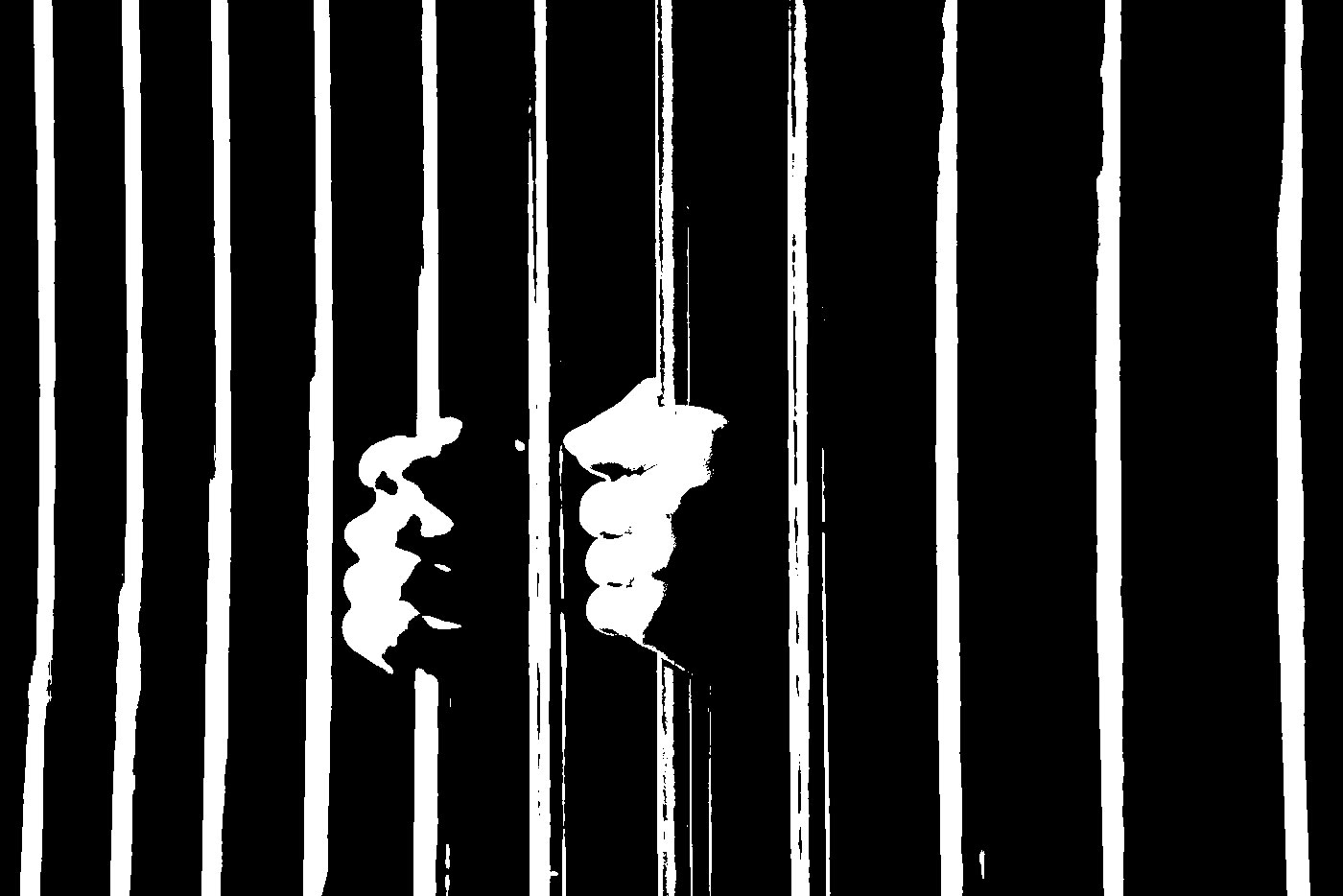 La Vie Carcérale et le Rôle de l'Avocat Pendant l'Emprisonnement
