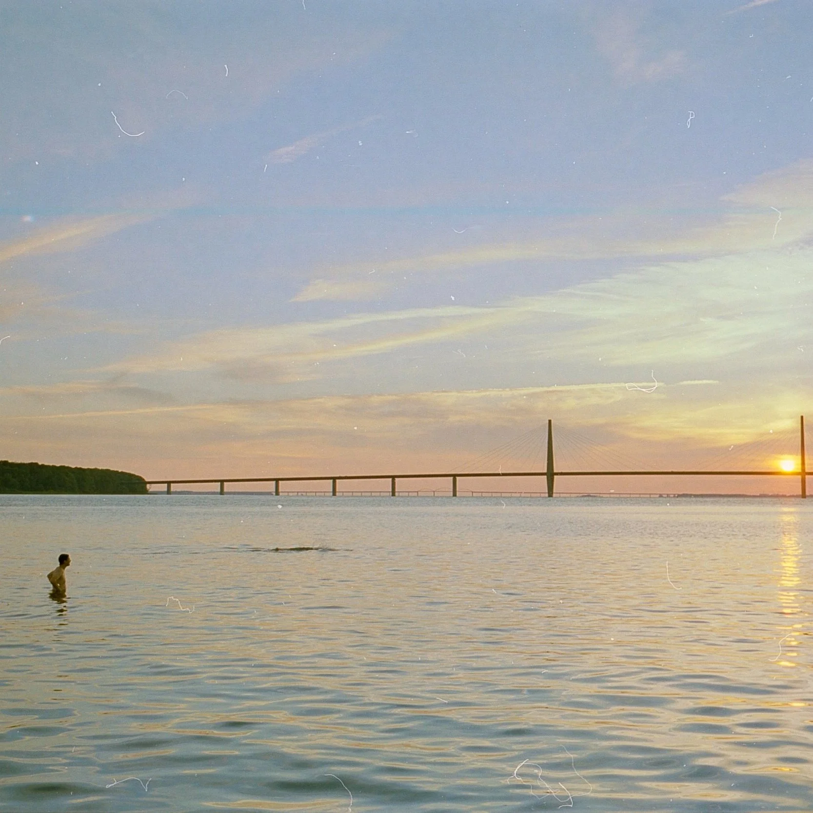 A Look Back at Efterklangs Sommertræf 2021 